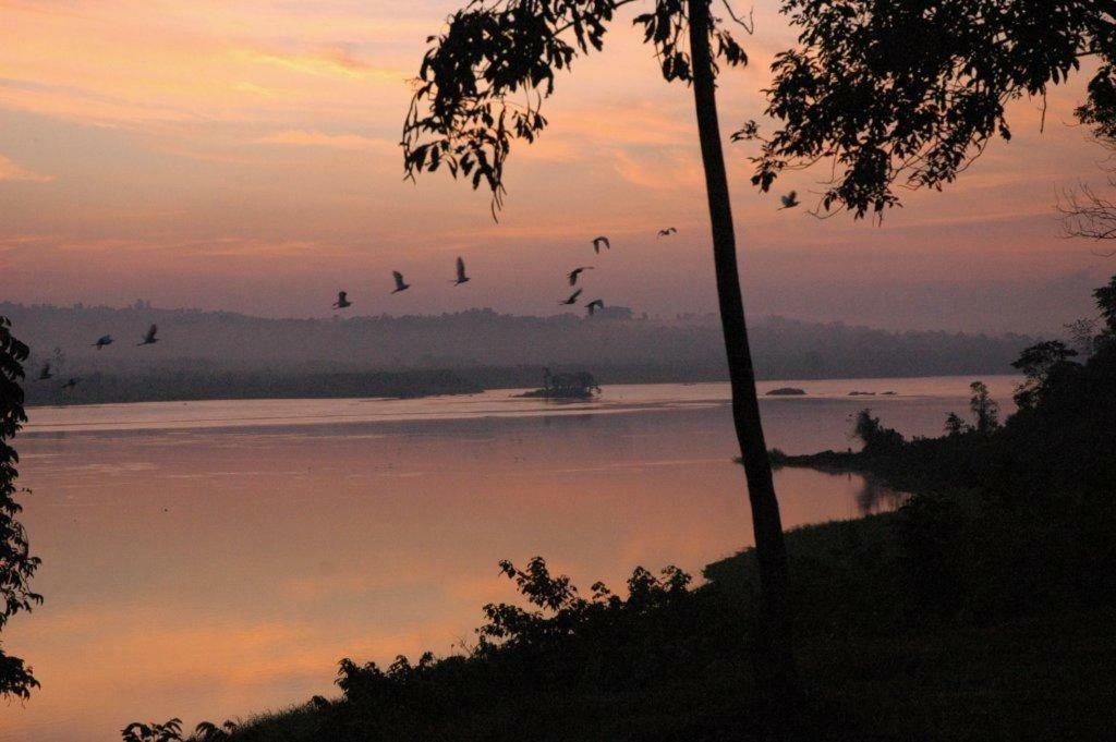 The Haven Hotel Jinja Bagian luar foto